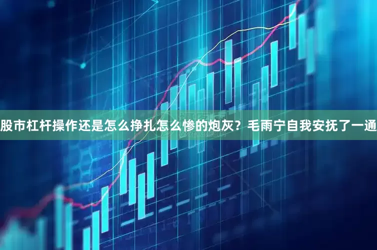 股市杠杆操作还是怎么挣扎怎么惨的炮灰？毛雨宁自我安抚了一通