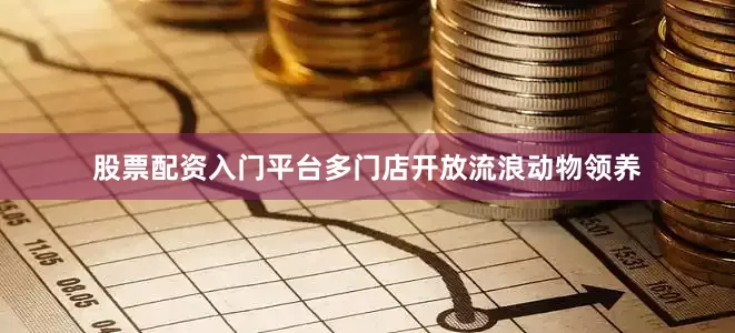 股票配资入门平台多门店开放流浪动物领养