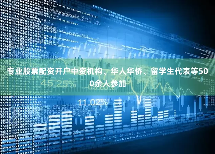 专业股票配资开户中资机构、华人华侨、留学生代表等500余人参加