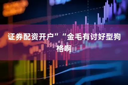 证券配资开户”“金毛有讨好型狗格啊