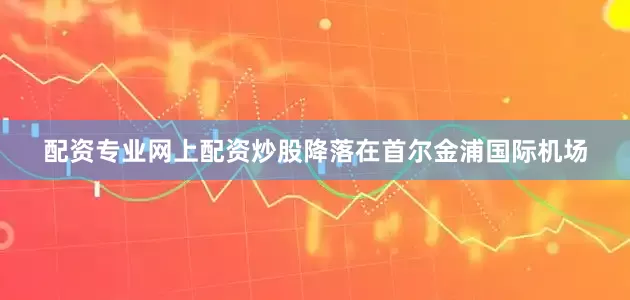 配资专业网上配资炒股降落在首尔金浦国际机场