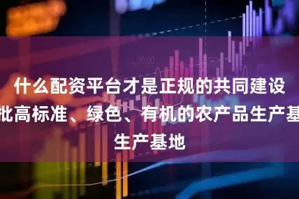 什么配资平台才是正规的共同建设一批高标准、绿色、有机的农产品生产基地