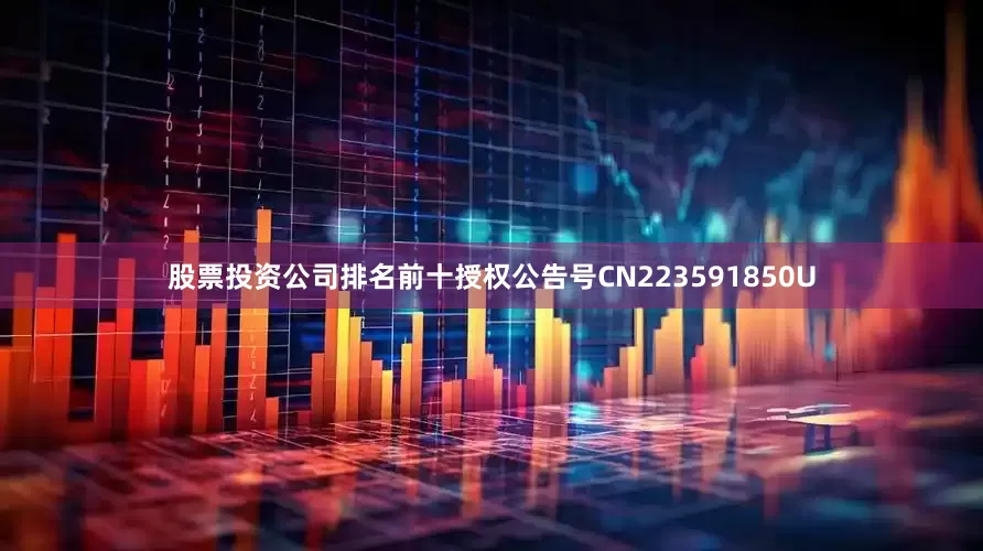 股票投资公司排名前十授权公告号CN223591850U