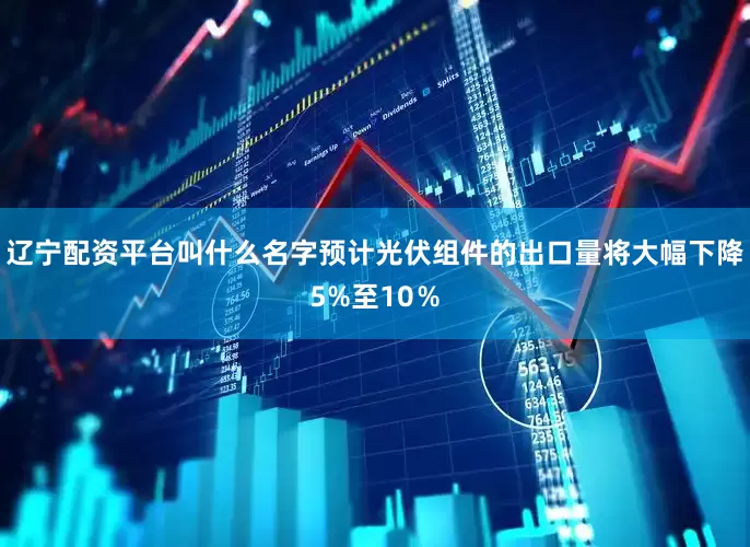 辽宁配资平台叫什么名字预计光伏组件的出口量将大幅下降5%至10％