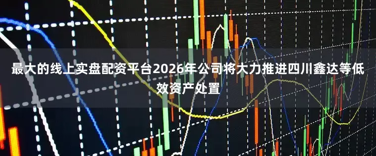 最大的线上实盘配资平台2026年公司将大力推进四川鑫达等低效资产处置